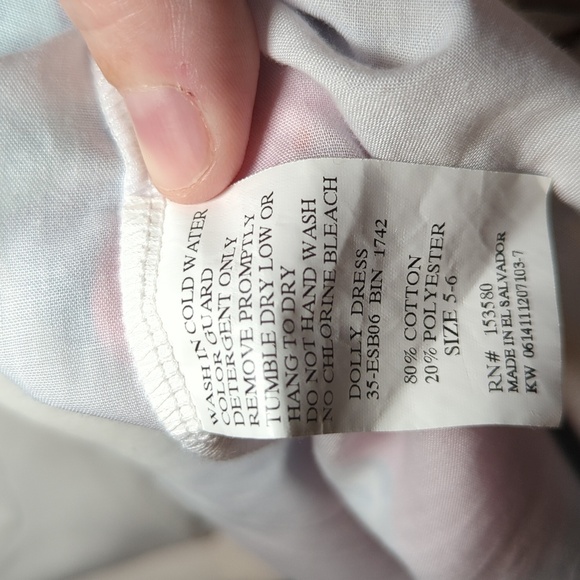 Eleanor Rose Dolly Dress Colorful Apple Print Eyelet Ruffles Girls Size 5-6 - Picture 4 of 5